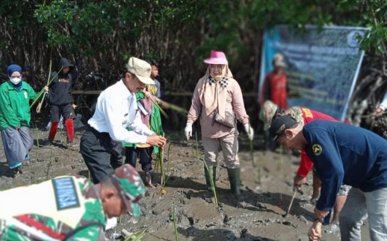 Gambar Cegah Abrasi di Pesisir, Mahasiswa KKN UIN Alauddin di Sinjai Timur Tanam Mangrove