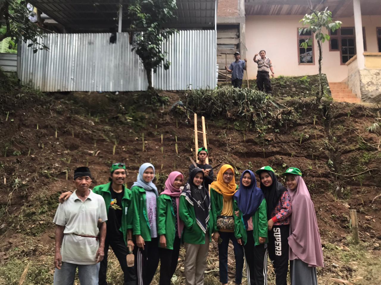 Gambar Cegah Terjadadinya Longsor, Mahasiswa KKN Angkatan 62 UIN Alauddin Tanam Pohon Vetiver